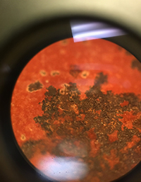 West Mexican Shaft Tomb ceramic organic staining